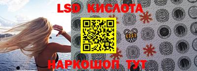 apvp Свободный