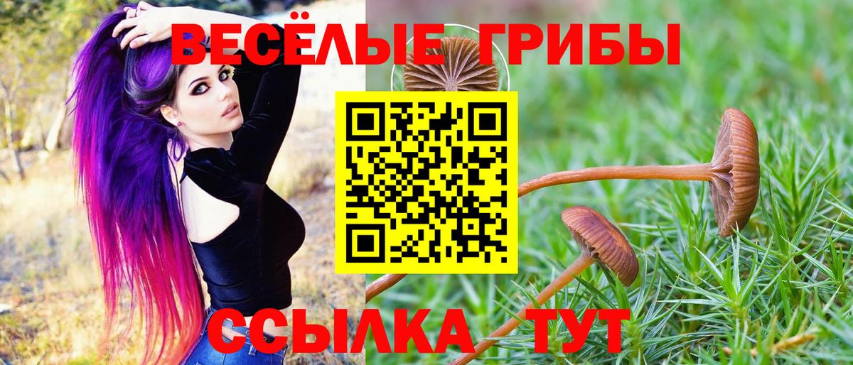 Галлюциногенные грибы Cubensis Ростов Великий