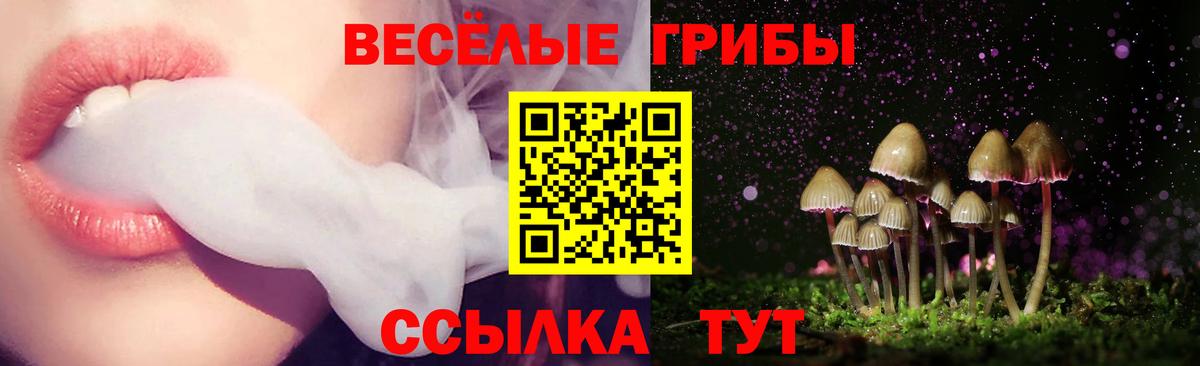 где можно купить наркотик  Галлюциногенные грибы Psilocybine cubensis  Ростов Великий  Вход с VPN  Галлюциногенные грибы Psilocybine cubensis 